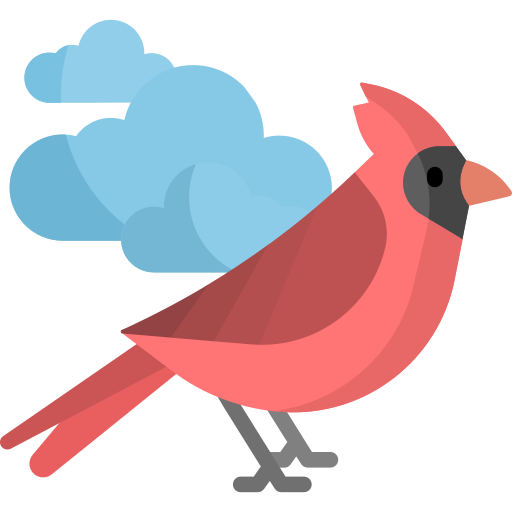 cardinal-media-server