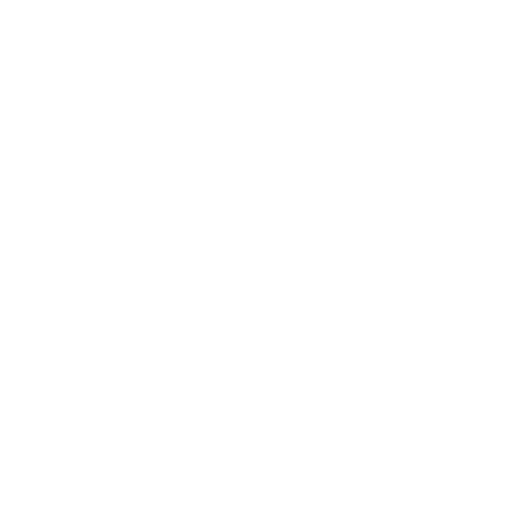 charles-schwab-light