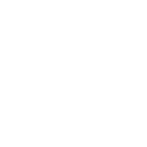 ford-light