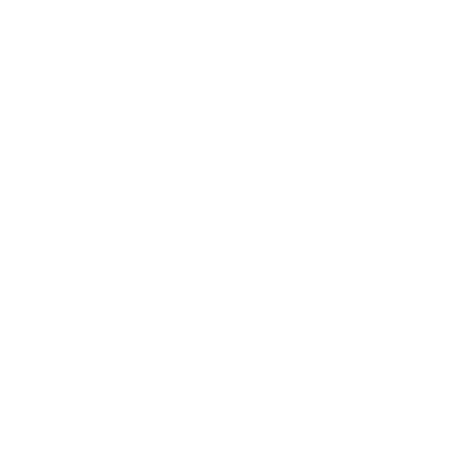 initiative-project-management-light