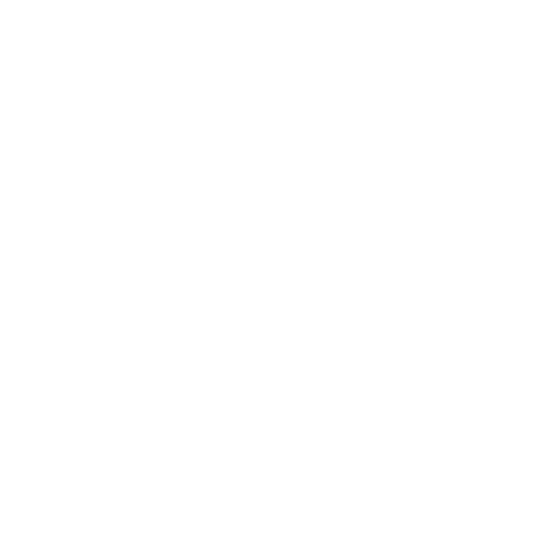 lingva-translate-light