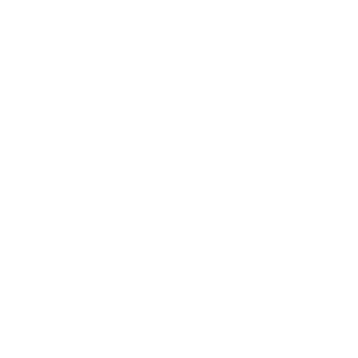 pingora-proxy-manager-light