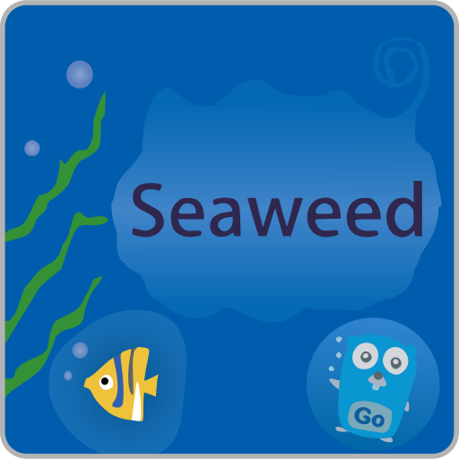 seaweedfs
