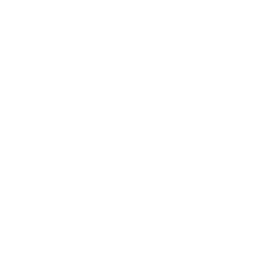 snippets-library-light