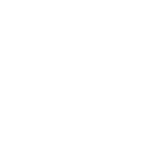 spip-light