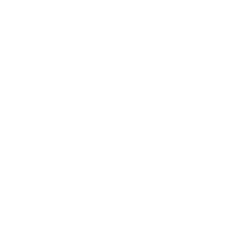 toyota-light