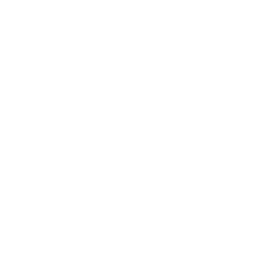 wordpress-light